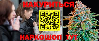 СК Краснодар