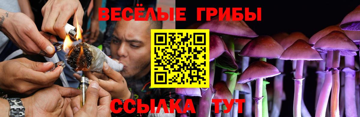 Галлюциногенные грибы мицелий Ейск