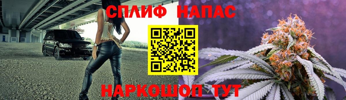Бошки Шишки VHQ Ейск